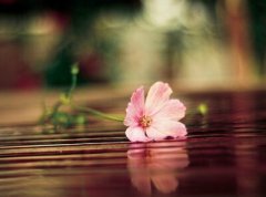 ����ܲ�ľ��ӣ�����ס�������ģ��ֲ������Ǳ���