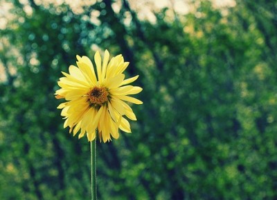 ����˵˵��ͼƬ9