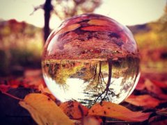����˵˵��ȫ�����ֲ����ҵ���ͫ����ƾʲô��������ҵ�����