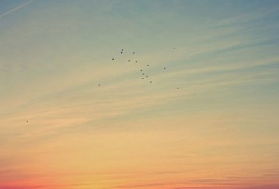 ����˵˵��ȫ����������������������������һ��֮��