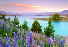 ���ܻ�ӭ��QQ���飺�������ǳ���ʱ������������ʱ