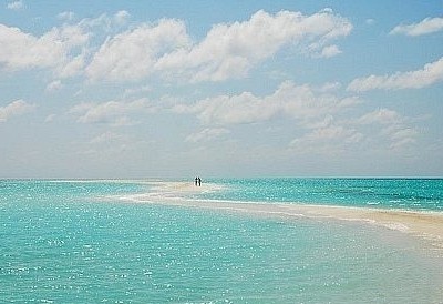 ����΢����¼����ҵ����ʧ�ܣ���ѧУ���·ż�