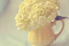 QQ�ռ�˵˵+ͼƬ���Ǹ�һ����һ���˺������