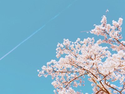 ˵˵��������ͼƬ7