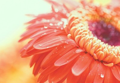�Ҹ�˵˵��ͼƬ13