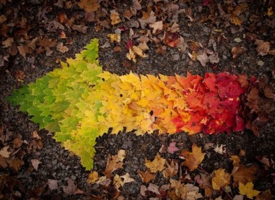 QQ�ռ��ͼ��˵˵15