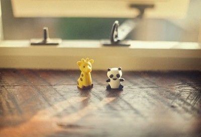 QQ˵˵��ͼƬ16