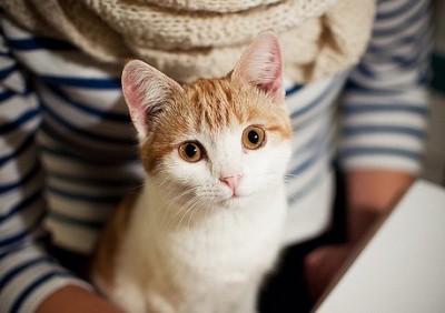 ˵˵ͼƬ��ȫ5