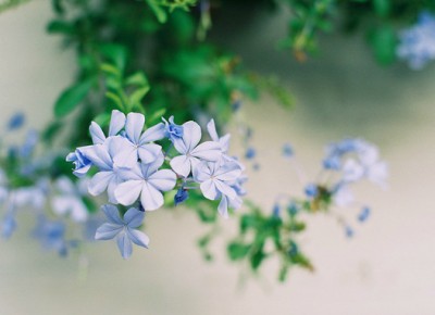 ˵˵ͼƬ��ȫ6