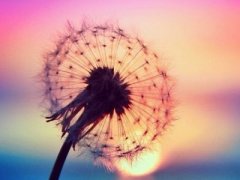 ����˵˵��ͼƬ����һ���ˣ������������˷���룬���ƴ��������