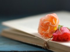 ����˵˵��ͼƬ�����������������Щ����Ը������Ҳ��Ը��ſ�