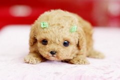 ���е�˵˵��ͼƬ����˭���ҵ���Ƿ��ʲô���������㶼Ҫ�����ѹ�