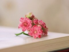 ���ʵĿռ�˵˵��Ϊ��δ����һ��