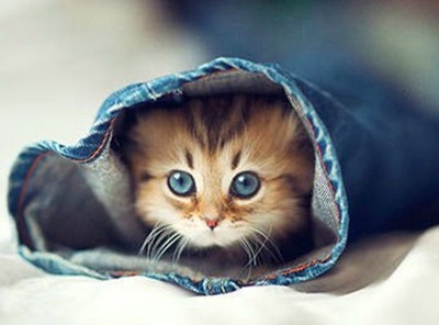 �����ں���˵˵��������ľ���������������ķ羰1