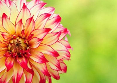 ����������¼������һ���ǣ��������Ϊ������ס��һ���㰮����1