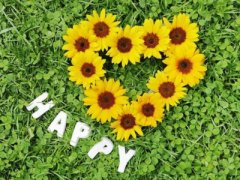 ��������˵˵����һ�ְ��飬�а�ͷ���ϣ���һ