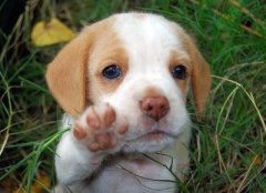 ����˵˵��ͼƬ����Щ������ʧȥ��ӵ�и����˿̹�����