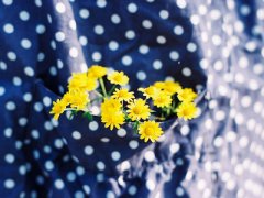 һ�仰������¼����û�ʸ�˵�ұ��ˣ�֪���о仰�а���������