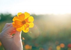 ���˵Ļ�����Щ��ע����Ϊ���£���Щ��ע����Ϊ����