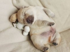��Ц˵˵��ͼƬ���μ���һ�Ÿ��Ӵ����������