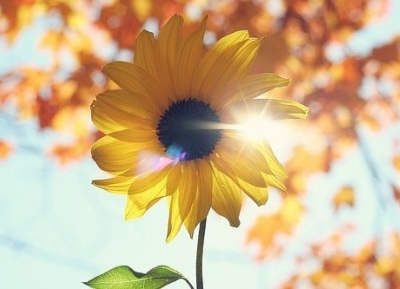 QQ�ռ�ͼƬ˵˵4