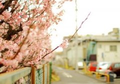 ����˵˵��ͼƬ������������ߣ�����һ���˻��������ͽ