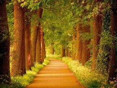 �ܲ�����QQ˵˵������飬������