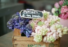�ÿ���˵˵ͼƬ�����е��¶��ܺ����˰������ۣ�Ψ�����鲻��