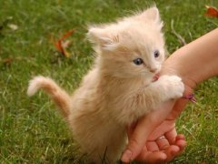 ���ӿռ�������˵˵��һ�����㣬�Ҿ�֪������