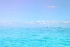���е�������������������ж��ܻ��и����ڰ���