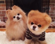 �����İ���˵˵������һ�죬�������һ�����Ϳ���͵���������