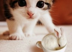 �����Ц˵˵���㲻ϲ���ң�����
