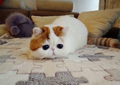 ��Ц˵˵��ͼƬ5