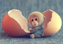 �ռ��Ц˵˵����ô��Ҫ������ôû��û�Σ��������Ӧ�û�����
