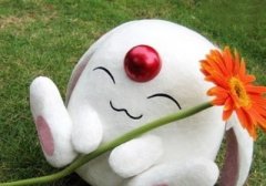 �����������ѧУ��õ����ҵ����壬������Զ�ò����ҵ���