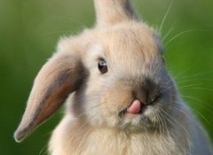 ��Ĭ˵˵��ȫ��ԭ����ѧУû��ϲ�����ˣ���ѧ���û��һ�㶯��