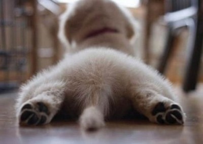 ��Ĭ˵˵��ȫ2