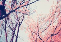 Ц���˵ľ��ӣ�֪������ò��ã���Ҳ�Ͱ�����
