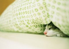 ���˵�QQ˵˵���������Ұ��ϵ�ÿһ���˶�����