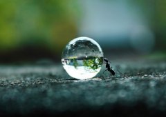 ���˵�QQ˵˵��ȫ���ٳٲ��Ϲ����ҵ����ݣ��㵽���ڸ�˭������