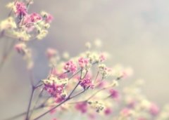 ʹ�ĵľ��ӣ��ж�����ϲ���������ֹ���û�С�