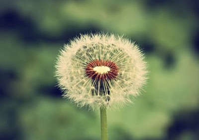 QQ˵˵�˸У�һ���ģ�Ҫ���˶��ٴΣ��Ż᲻��ʹ