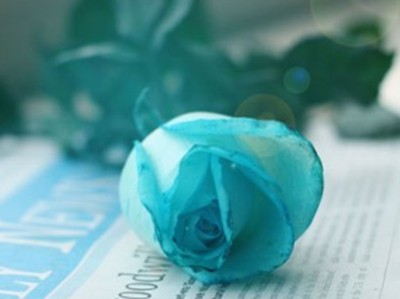 ��˵�һ�仰����һֱ���������󣬾Ͳ���һ����ͷ