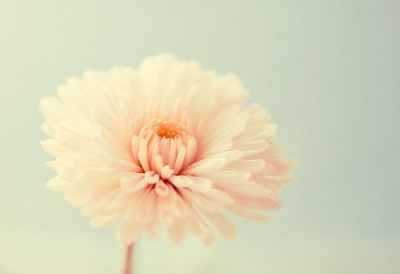 �����˸�˵˵��һֱ���˺��ķ�ʽ�మ��ֱ���ֿ�