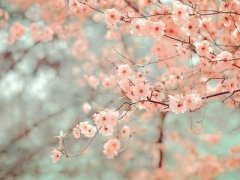 �˸�˵˵��ͼƬ���¶�����һ�����˵�����ظ�ð