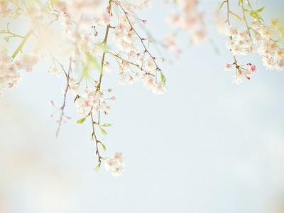 �˸����ֿ�˵˵ͼƬ9