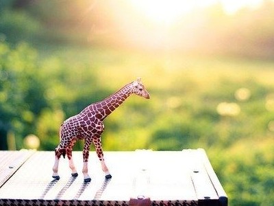 �˸����ֿ�˵˵ͼƬ12