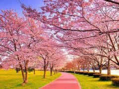 �˸����˵˵�����뿴�㲻���ģ�ȴ�ּ�����ͱ���̫����